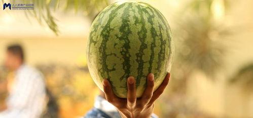 最近娱乐圈的吃瓜,最新“瓜”事盘点，揭秘明星幕后故事